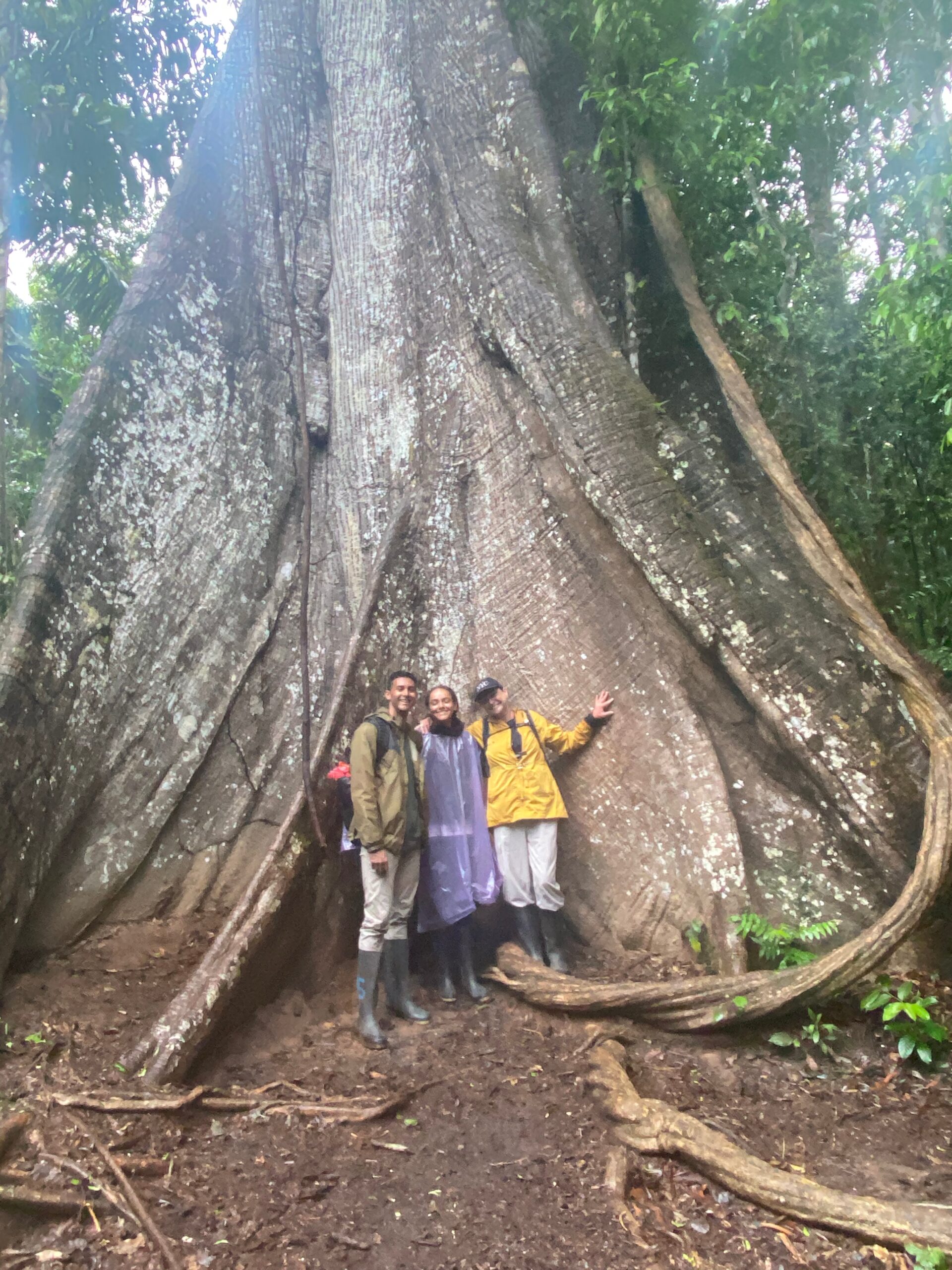 Rachel Stankovic, Luxury Travel Advisor standing with children in front of 800 year old tree in the Amazon jungle